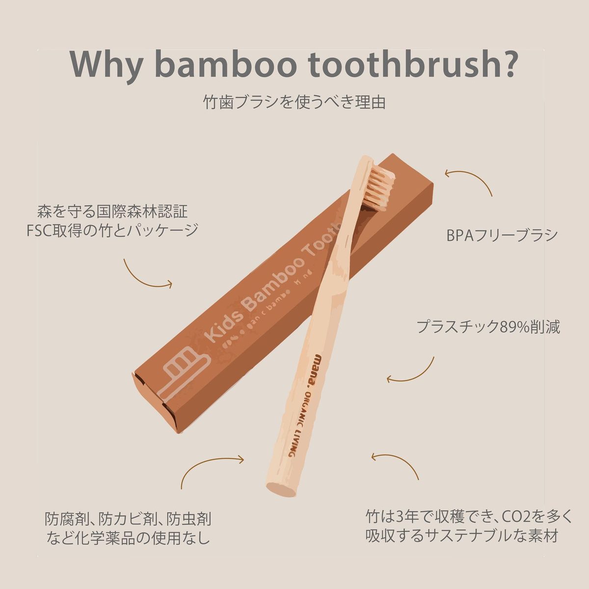 竹歯ブラシ(キッズ) 写真2